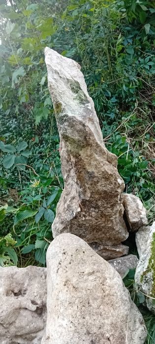 Zestaw kamieni wapiennych  tzw ostańcow