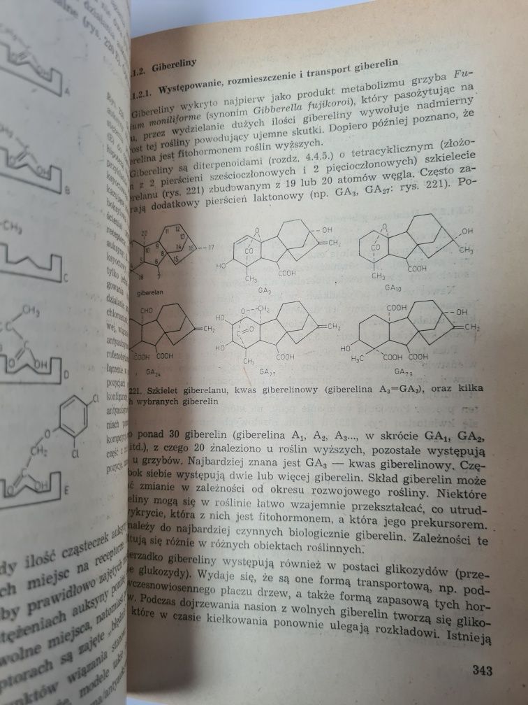 Fizjologia roślin - Eikke Libbert