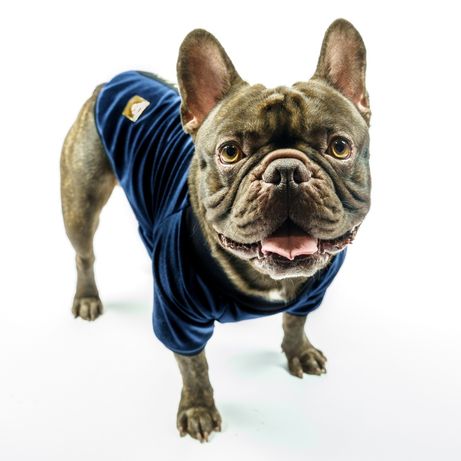 Bluza ubranko dla psa SHINE granatowe L-XXL