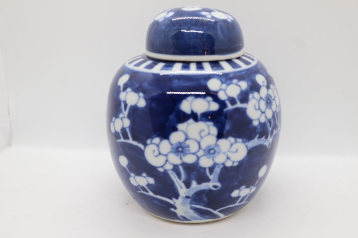 Pote Porcelana Chinesa Decoração Ginger a Azul e Branco XIX 16 cm