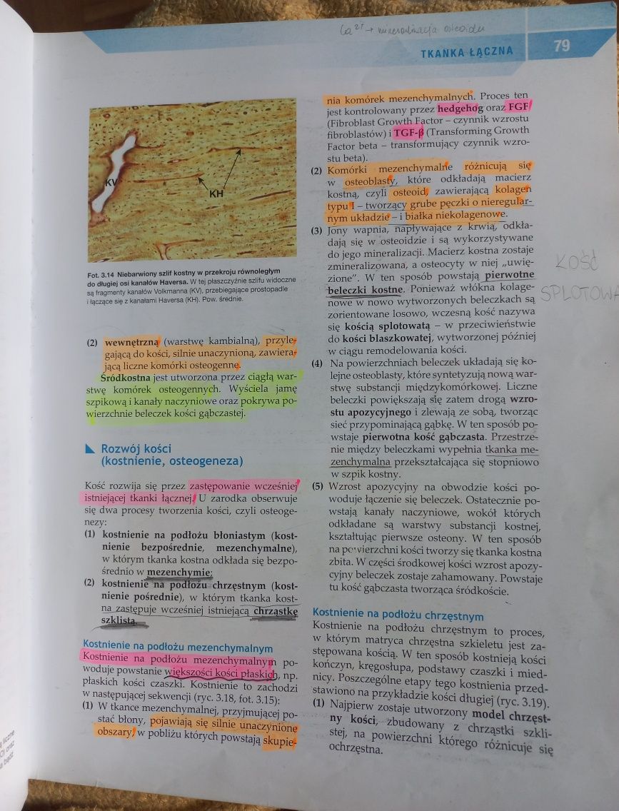 Atlas Sobotta - Histologia, podrecznik- Histologia Zabel