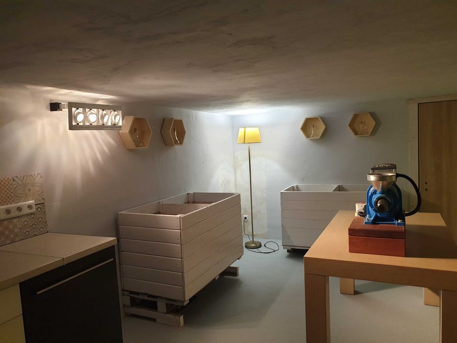 Olej rzepakowy naturalny, zimnotłoczony