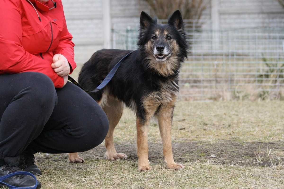 Piękna, wesoła Kora prosi o dom