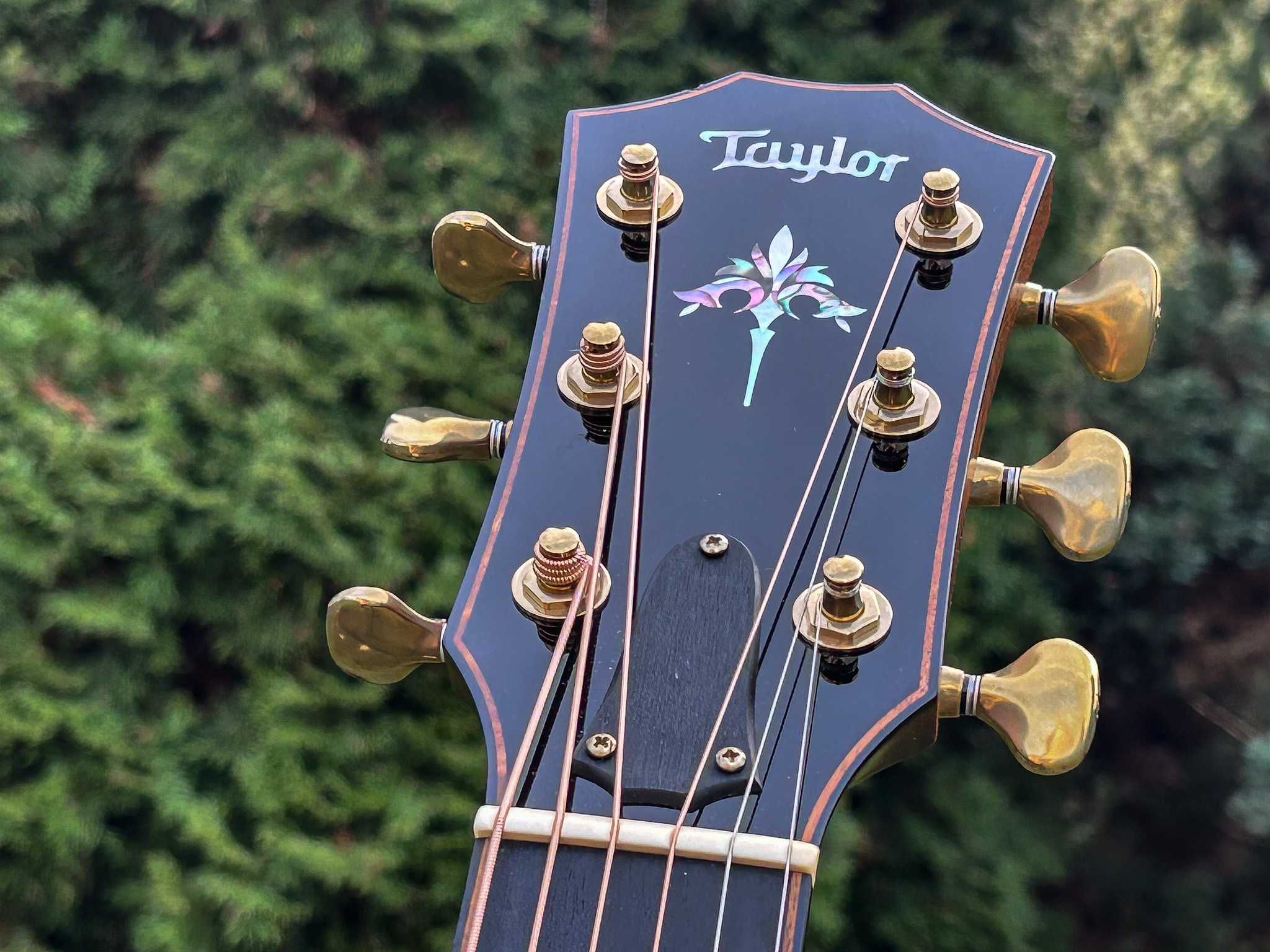 Taylor 912 CE - gitara akustyczna marzeń :)