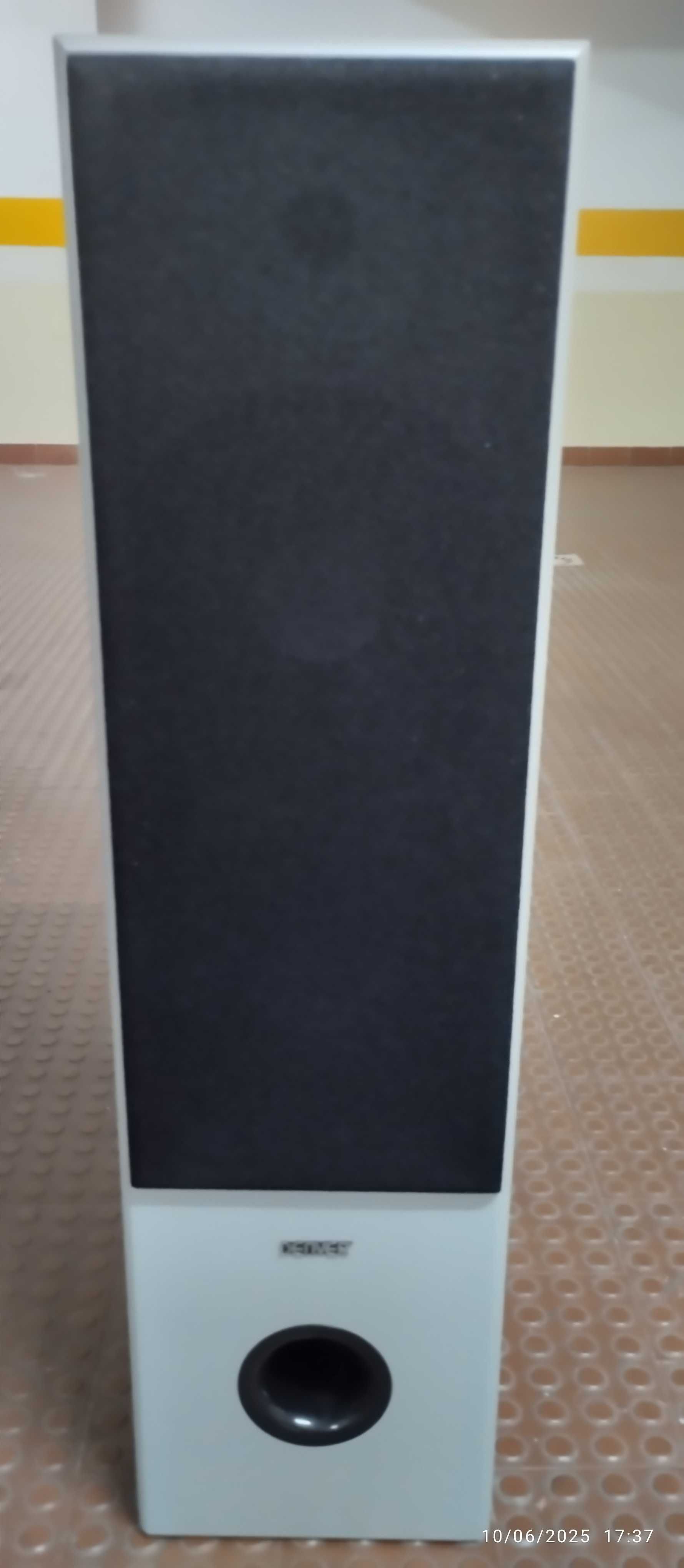 Vendo colunas DENVER SP-1000