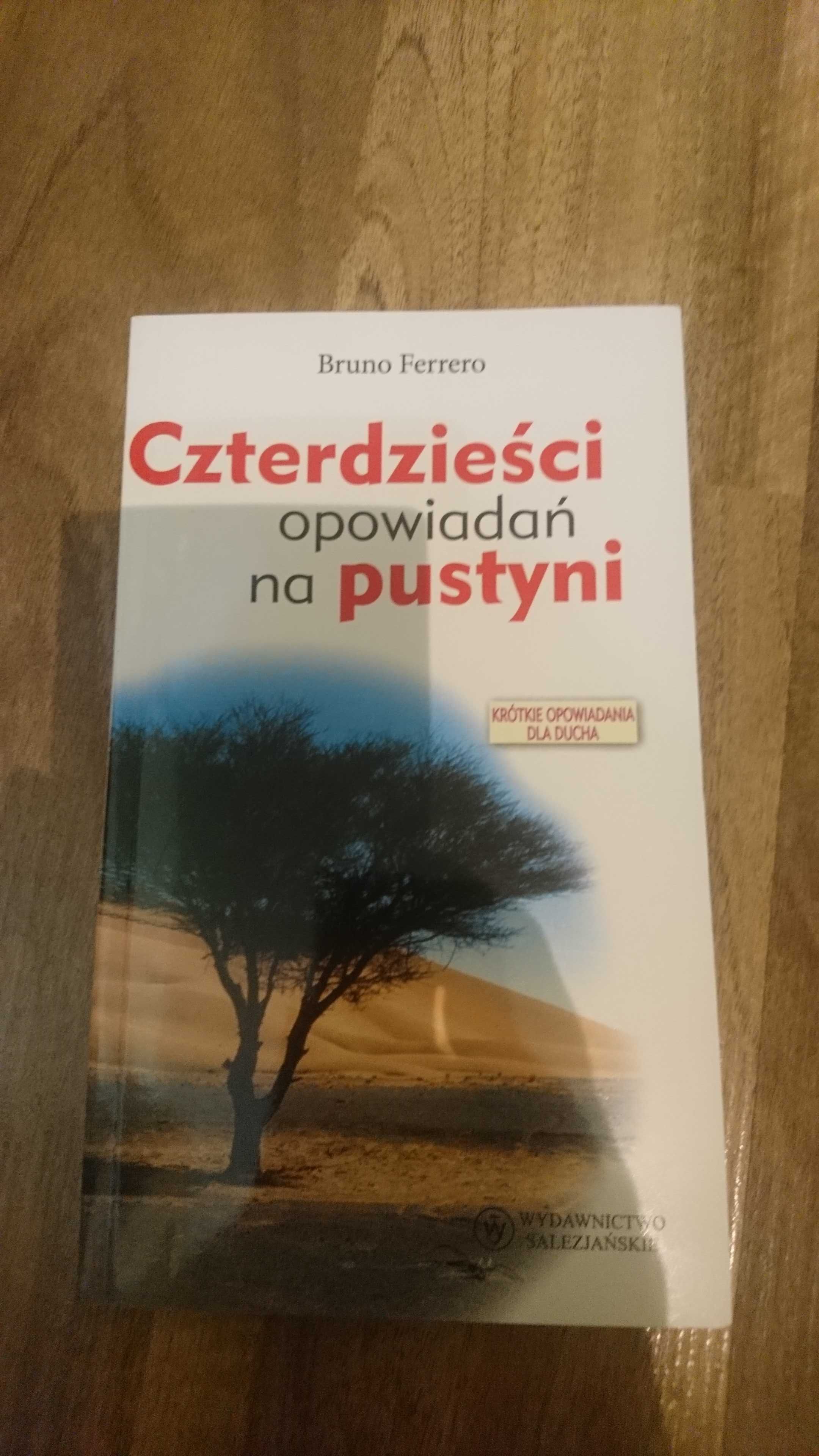 Czterdzieści opowiadań na pustyni