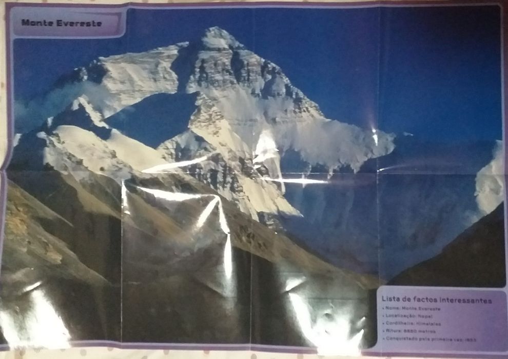 Os grandes exploradores + pôster