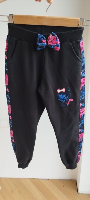 Dres welurowy bawełniany kwiaty róże kotek czarny malinowy bluza