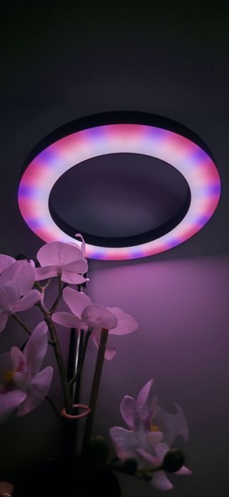 Nowa Lampa LED do Wzrostu Roślin "Halo" z Timerem i Ściemniaczem