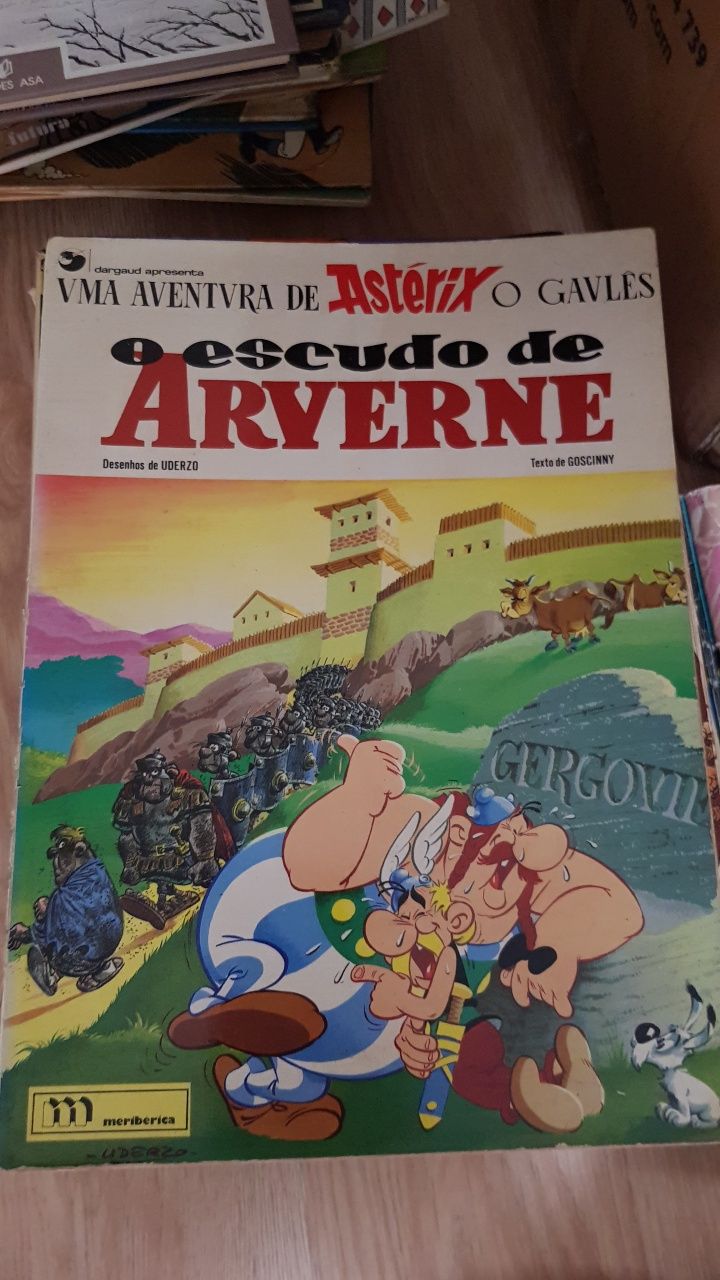 Vendo vários livros Spirou, Astérix, Lucky Luke, entre outros