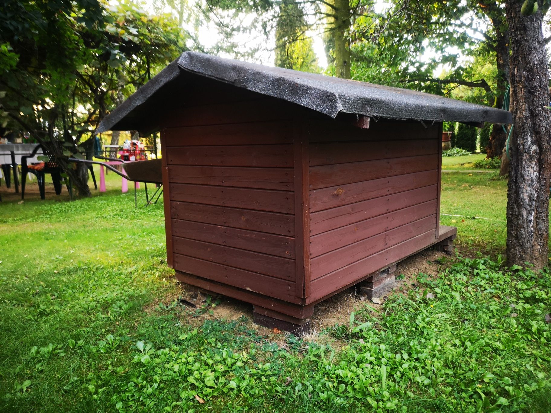 Buda dla dużego psa