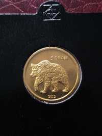 Moneta Górski Karabach 5 dram 2013 niedźwiedź