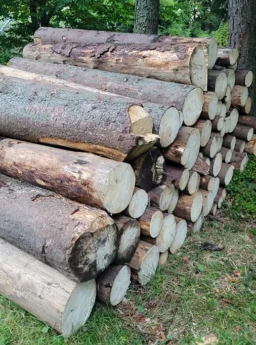 Drewno, drzewo, opał, sosna, modrzew