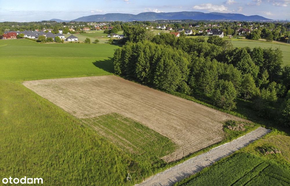 Działka budowla z  wydanymi warunki zabudowy - 21a