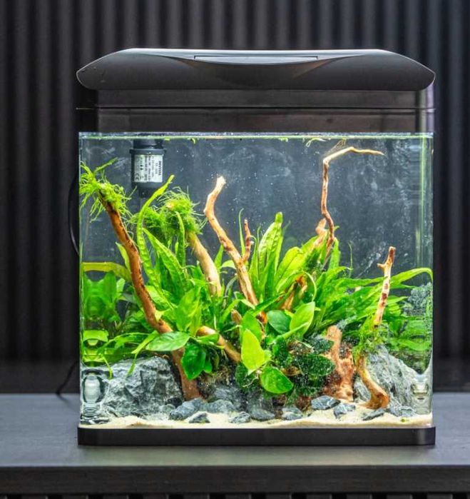 Akwarium Standardowe INVITAL EasyTank PRO LED 30L Czarny - WYPRZEDAŻ