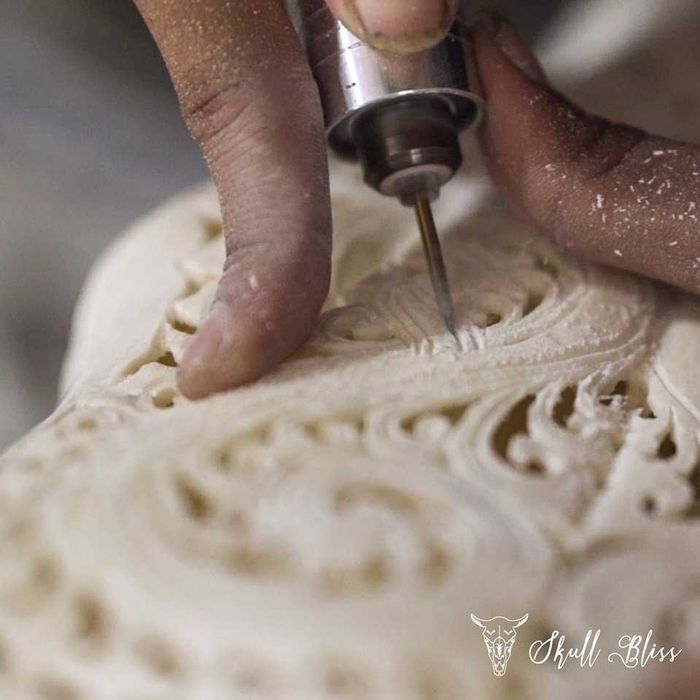 Craneo de javali  indonesio gravado à mão.