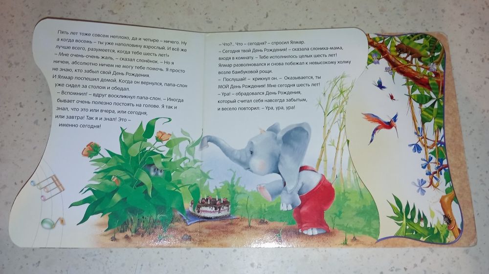 Дональд Биссет Забытый День рождения  Картонная книга-2004. 250 грн