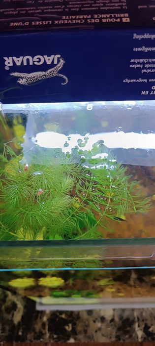 Аквариум 40литров