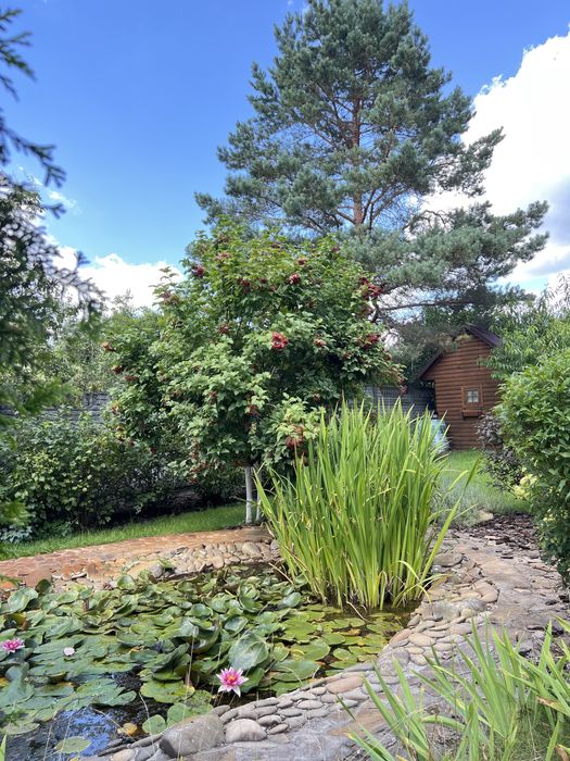 Оренда будинку з дизель генератором та газовою плитою