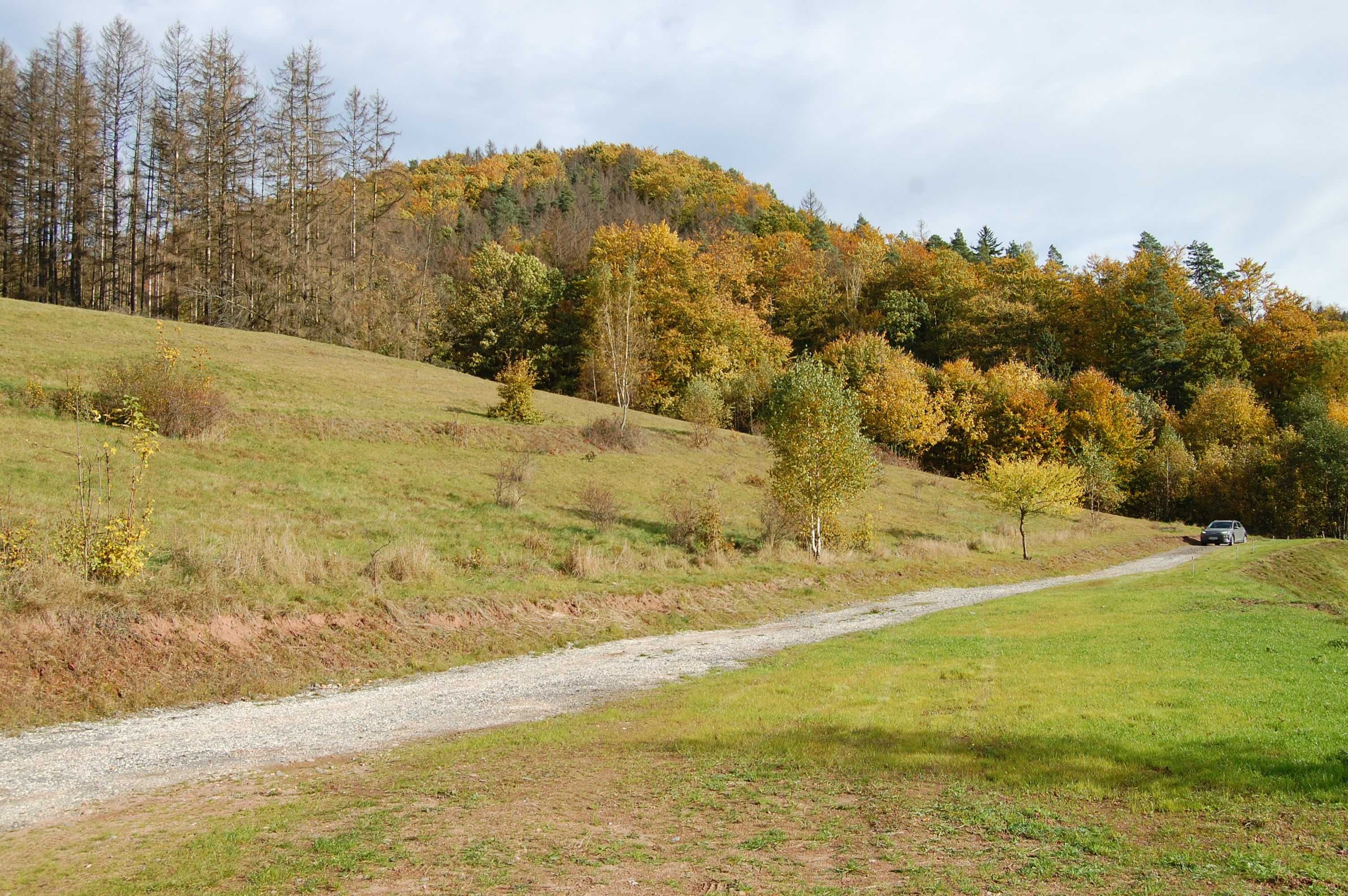 Domki w gorach stolowych WOLNE TERMINY    od  12 Maja