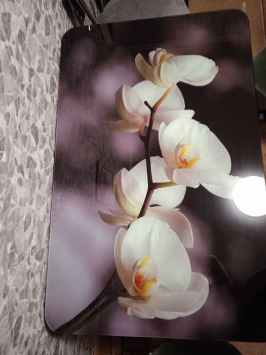 Стеклянный стол кухонный