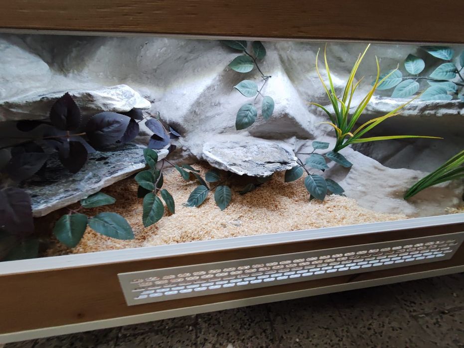 Terrarium 100x40x40 wąż pyton boa PETMARKET
