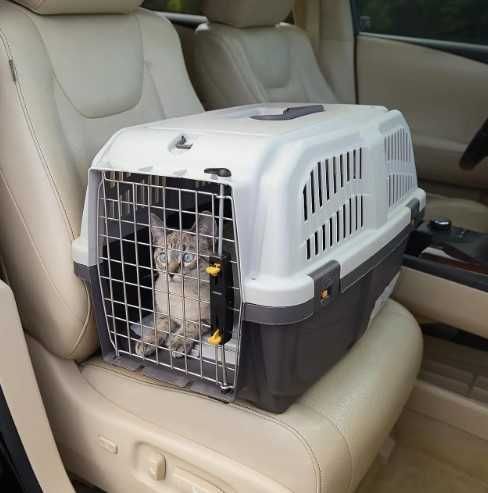 Авиа бокс переноска клетка для собак кошек SKUDO iata №1,2,3,4,5,6,7