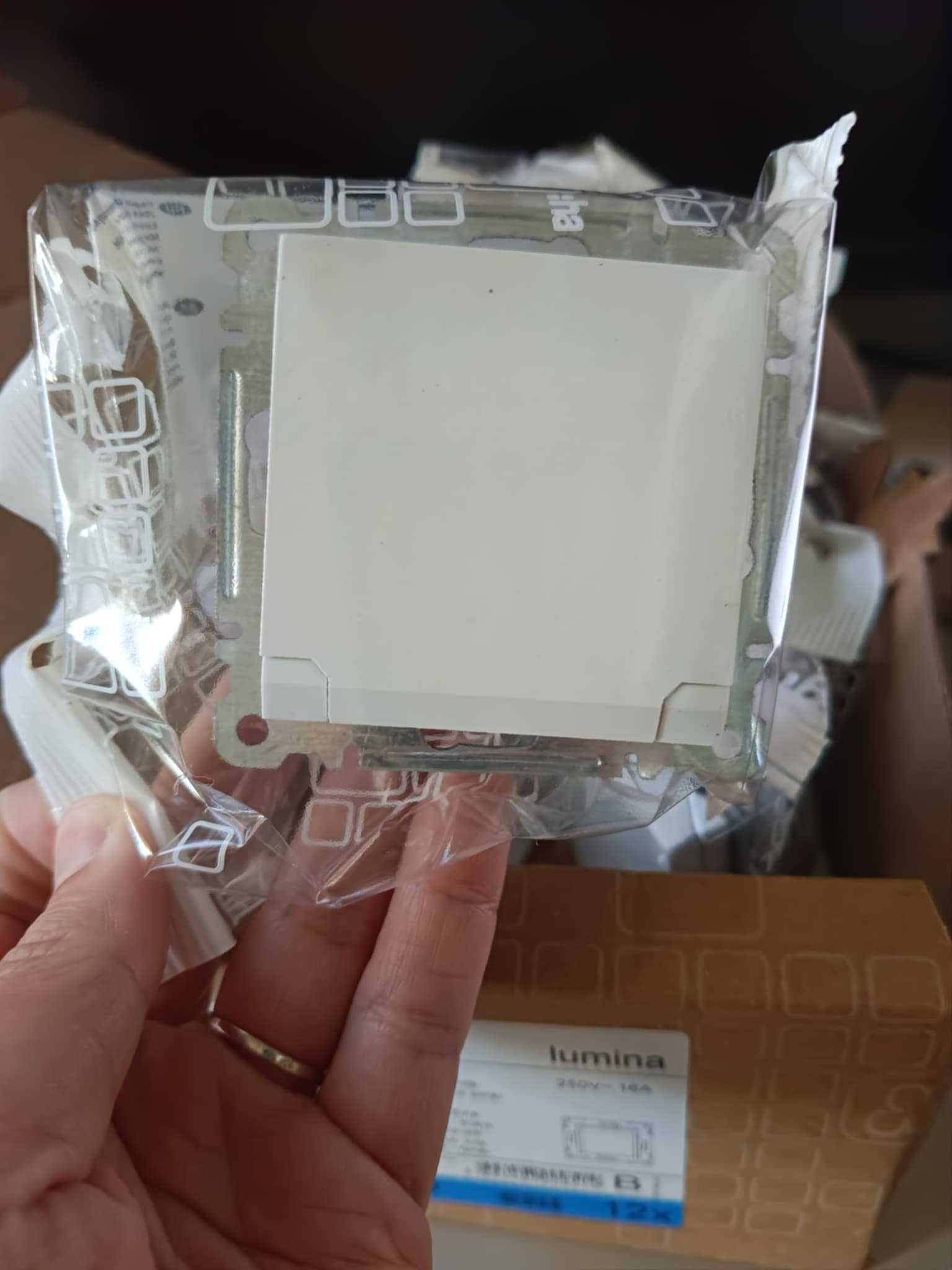 Gniazdo 2P+Z z pokrywą Lumina WL1120