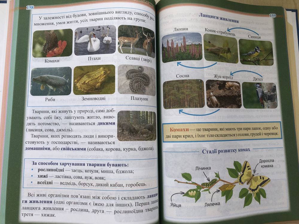 Книга Ілюстрований довідник учня початкової школи. Жива книга