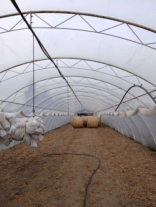 Tunel foliowy 30 / 7 / 3