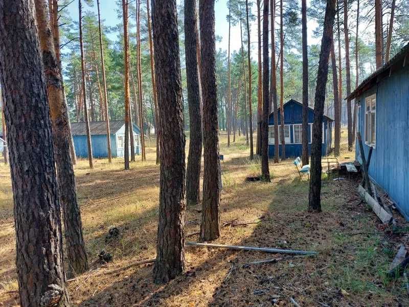 ЄМК ДП «Укррибпроект», 3085 кв. м, вул. Олександра Кониського, 82А
