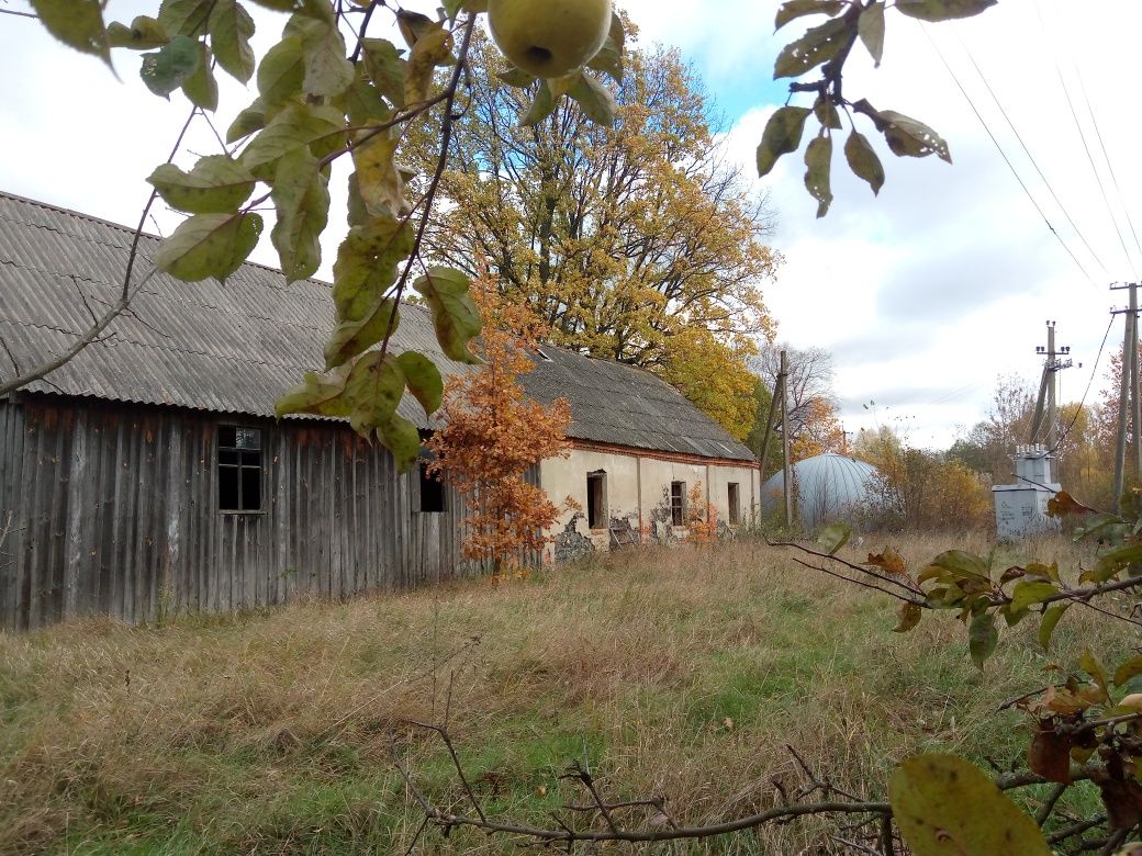 Продам ангар та складські приміщення с.Устинівка