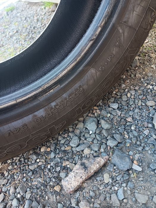 Шина 205/55  R16