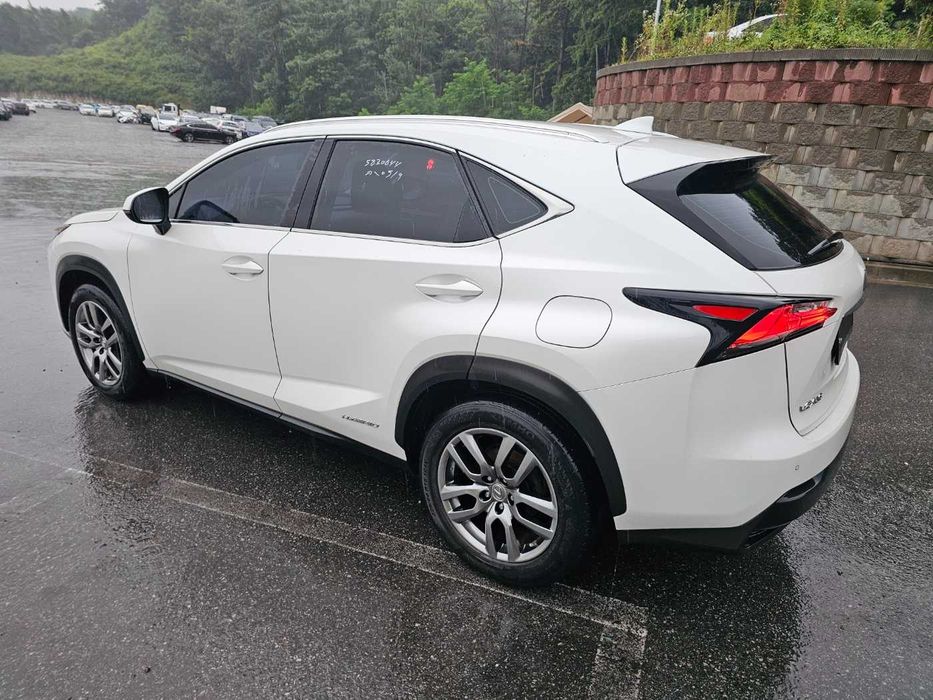 2018 Lexus NX 300h Hybrid