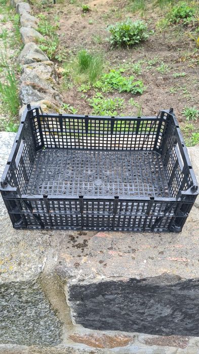 Skrzynki plastikowe na warzywa słoiki owoce itp