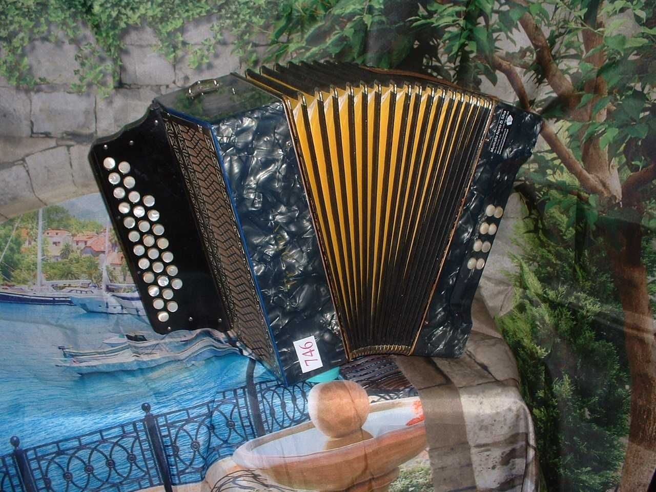 Concertina a venda n.746