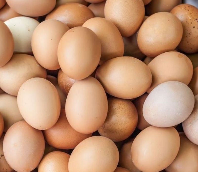 Ovos de galinhas caseiros