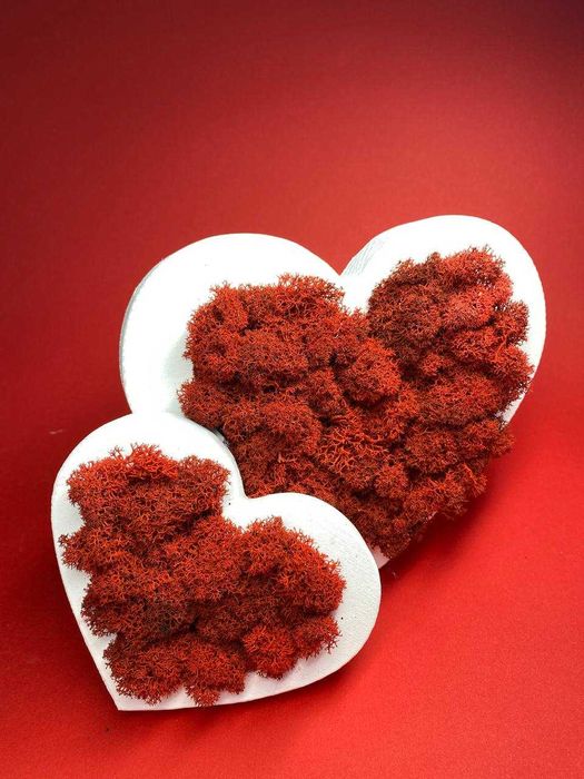 Деревянное сердце из стабилизированного мха.Декор из мха