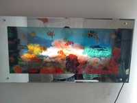 Akwarium na ścianie pływające rybki