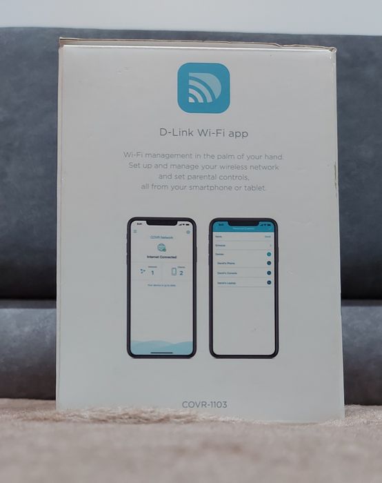 Ruter firmy D-Link