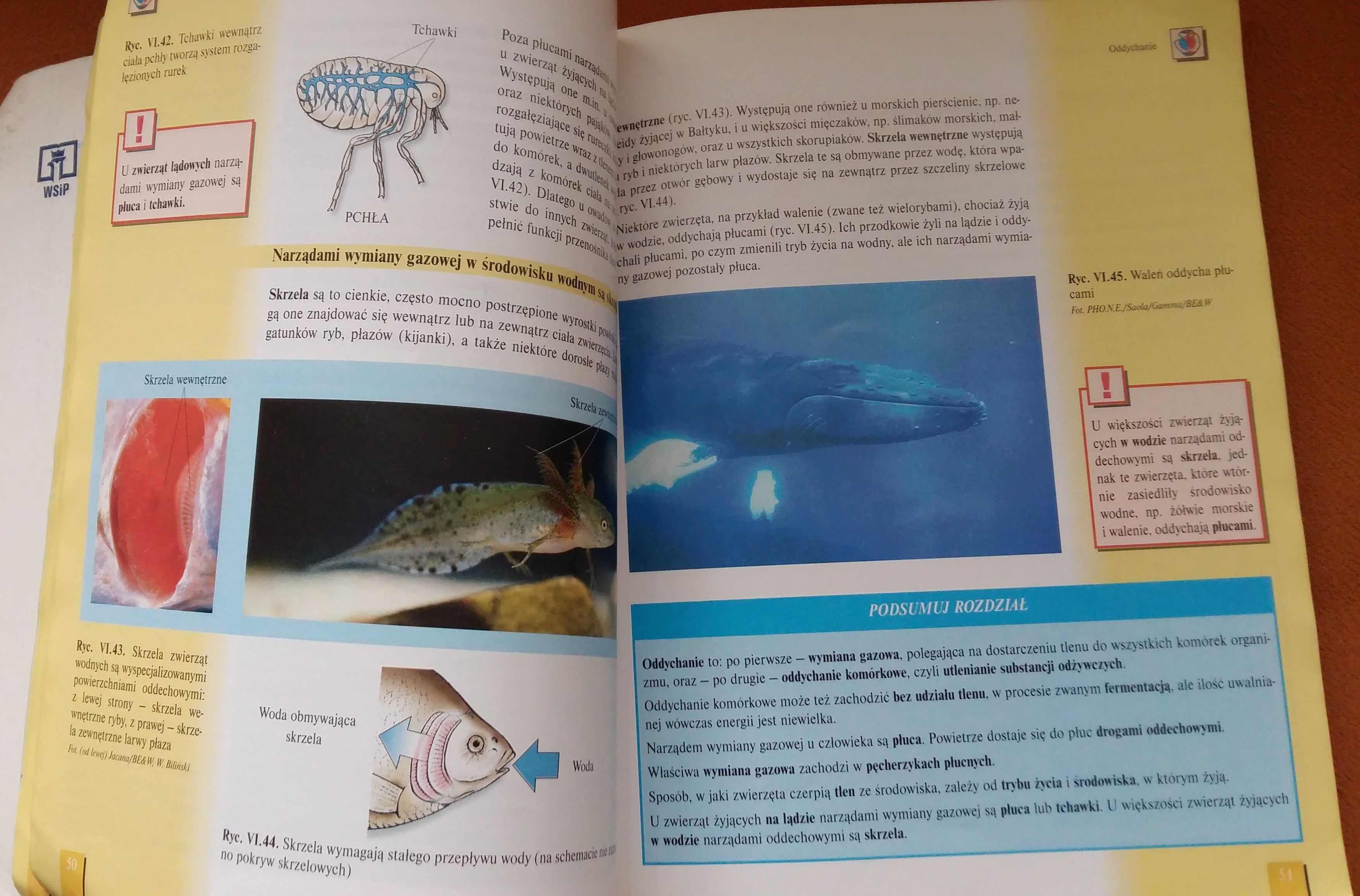 Biologia XXI wieku podręcznik część 2 - Czubaj,Grzegorek