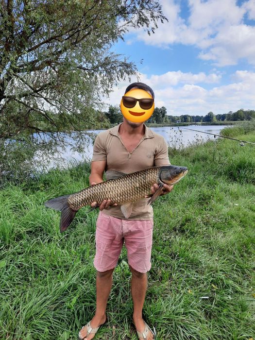 Продам будинок на березі річки в селі  Заньки