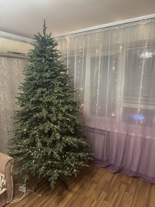 Ялинка Віденська Лита