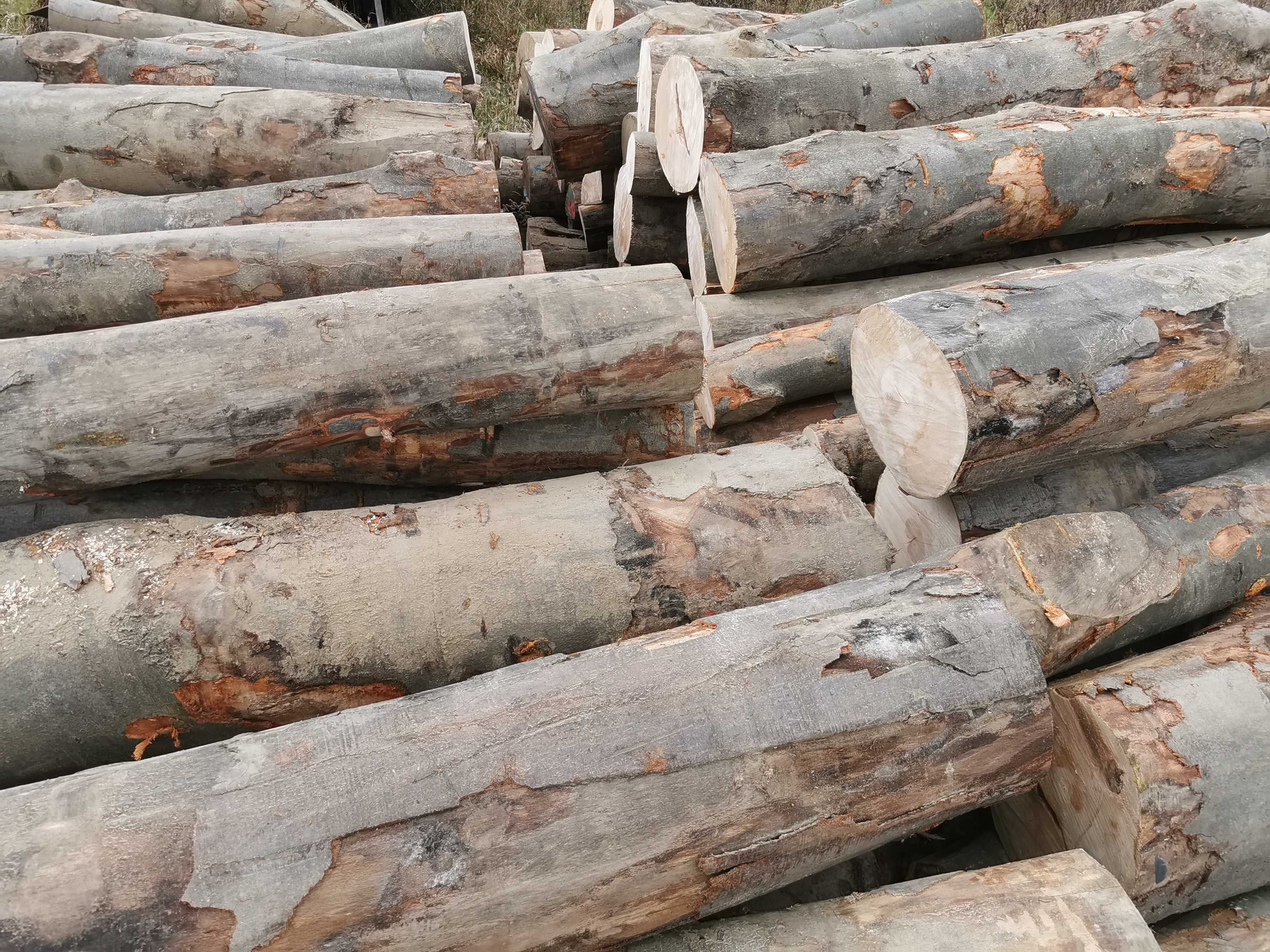Drewno opałowe kominkowe Buk stosowe wałki metry