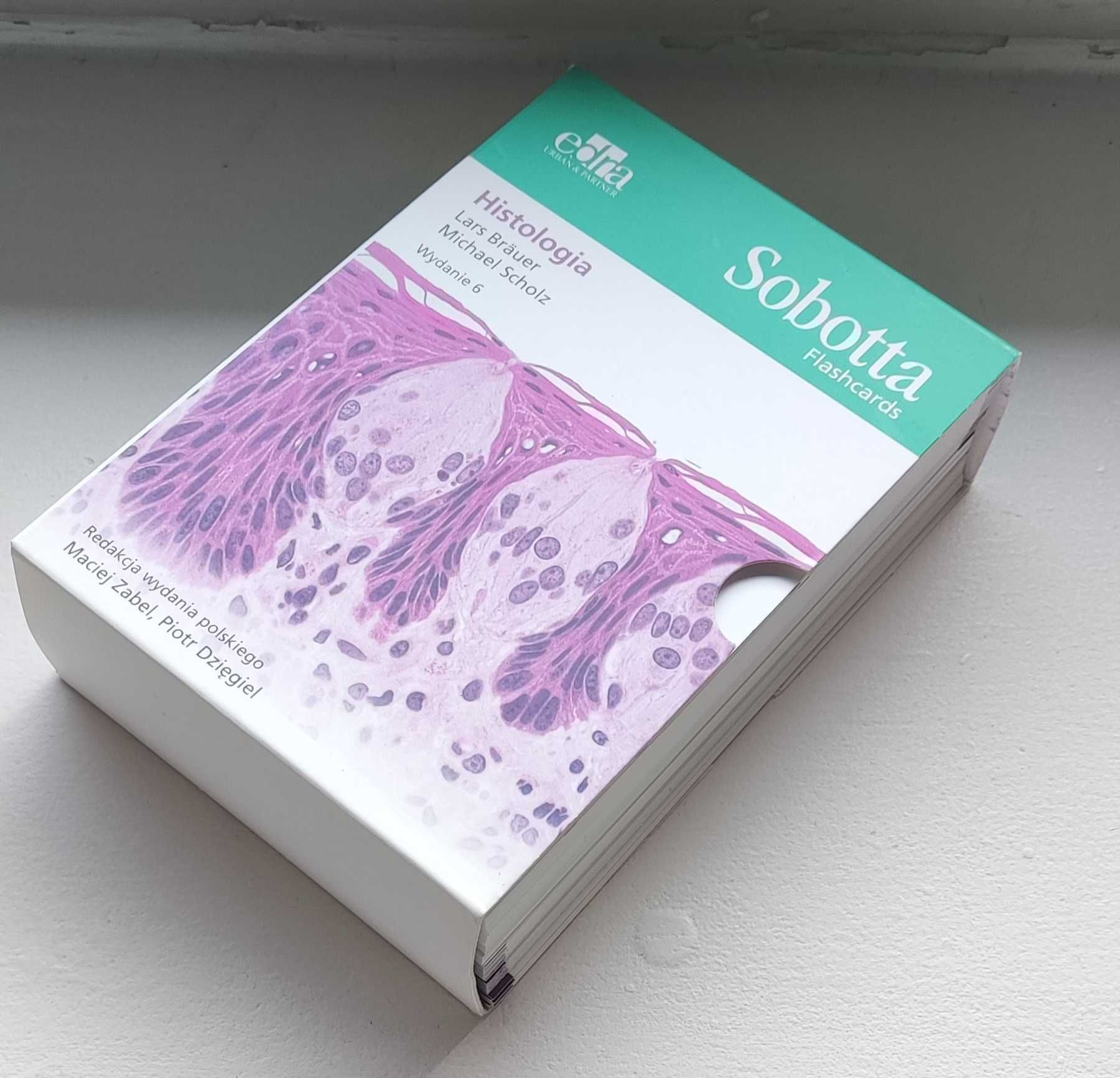 Fiszki histologia Sobotta flashcards