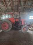 ciągnik MTZ 82 belarus