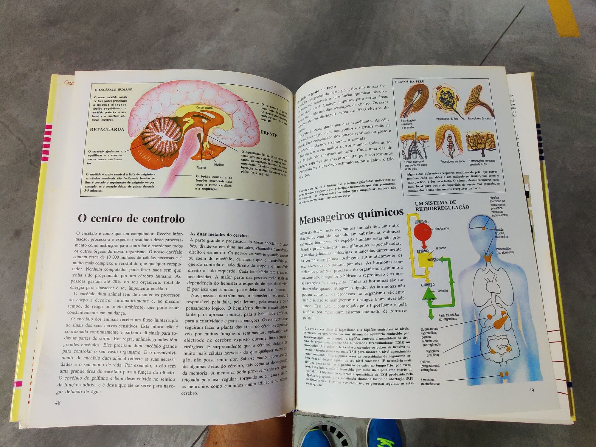 Enciclopédia Juvenil Ilustrada 9 volumes