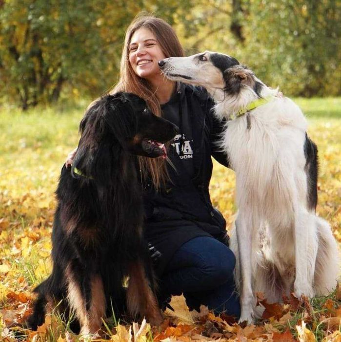 Petsitter/Opieka nad pieskami