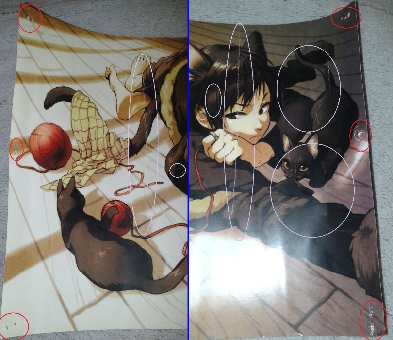 Plakat: 2xDurarara i Pandora Hearts /Anime, Manga, Otaku