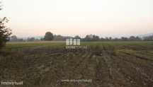 Terreno Agrícola - Lanheses